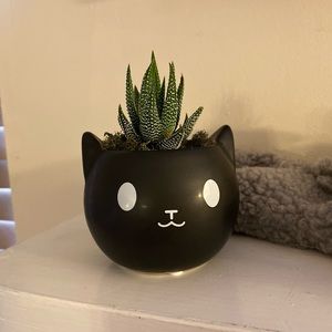 Meet your Posher, Craig